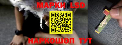 твердый Новозыбков