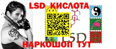 твердый Новозыбков