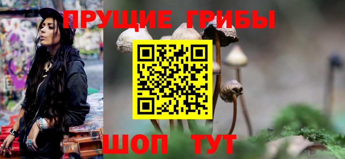 Псилоцибиновые грибы MAGIC MUSHROOMS Советская Гавань